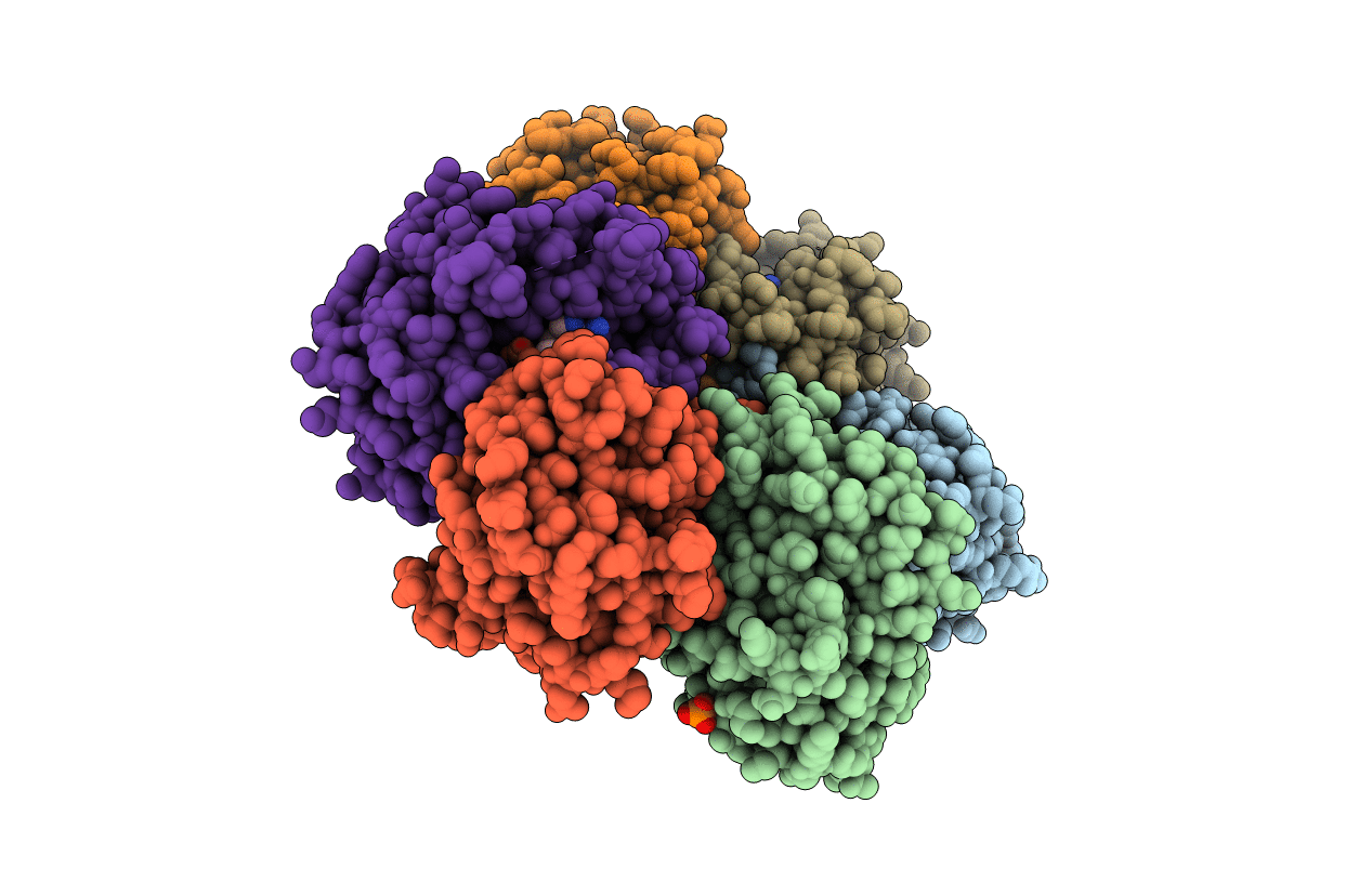 2ISC image