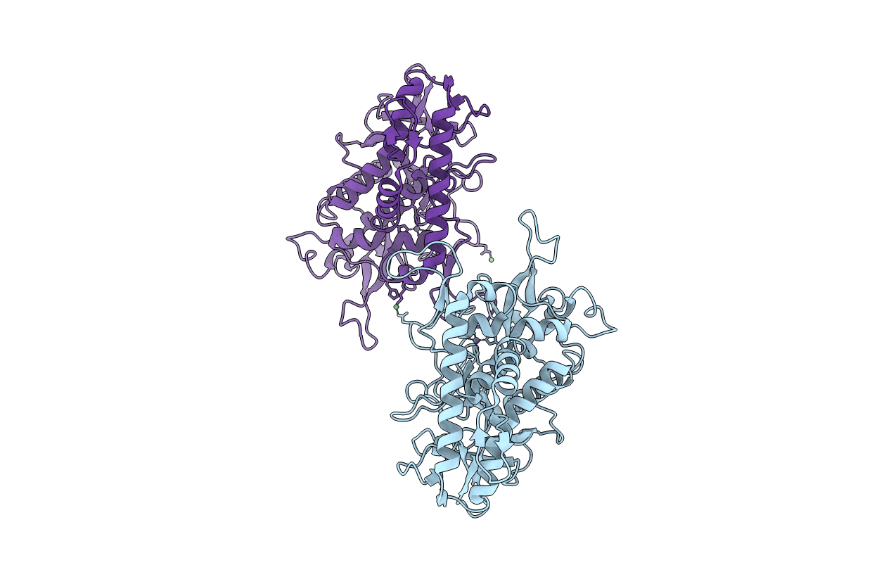 2ISG image