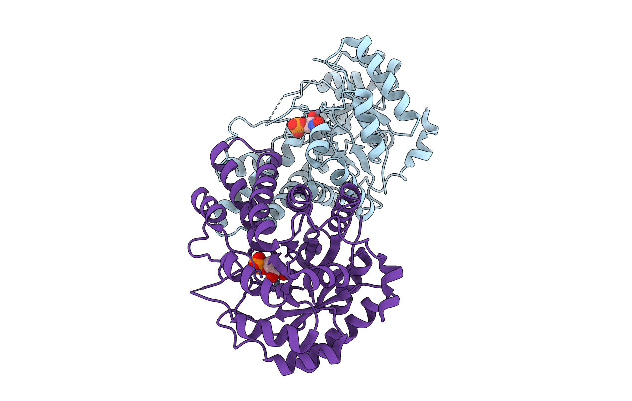 2ISV image