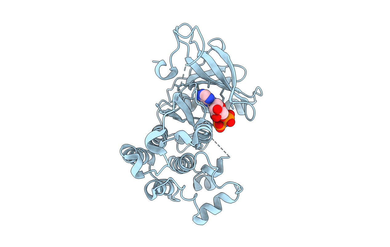 2ITN image