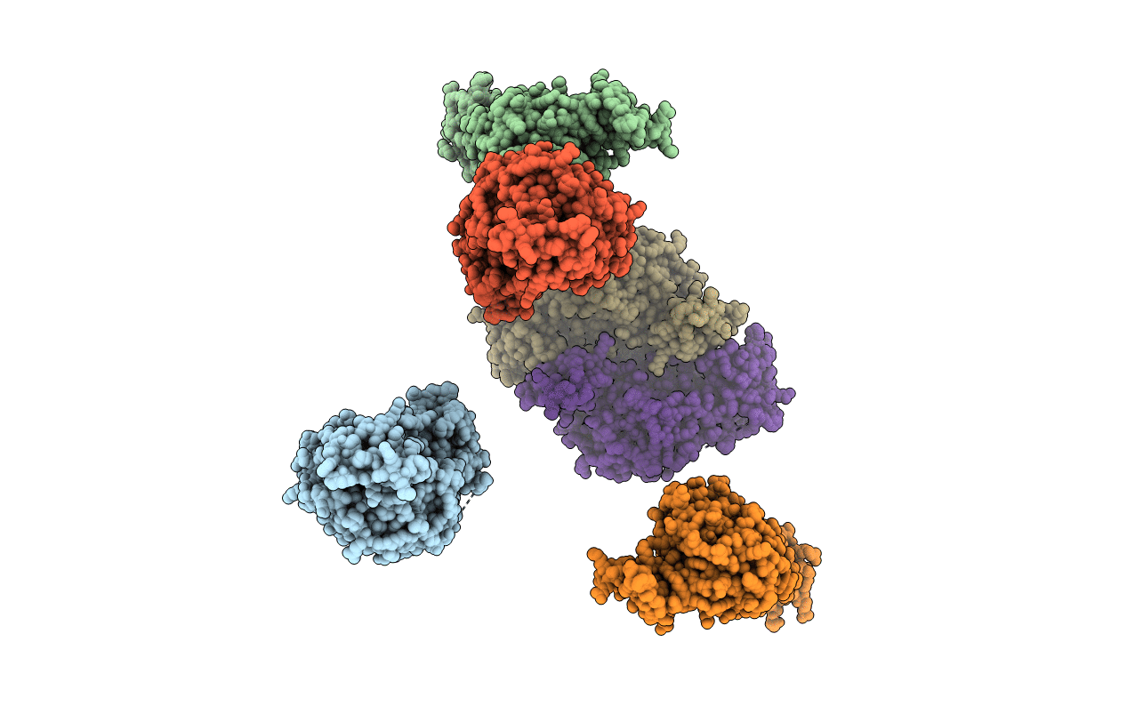 2IUS image