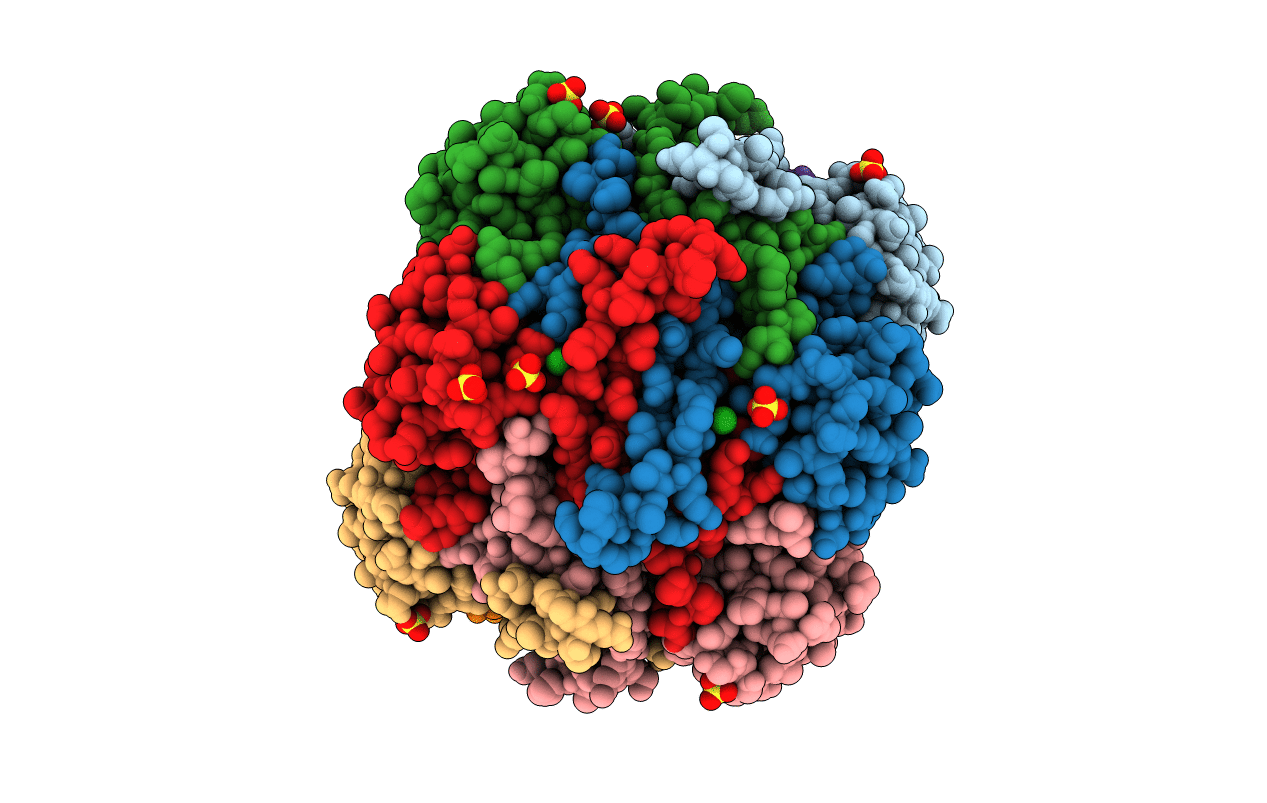 2IVB image