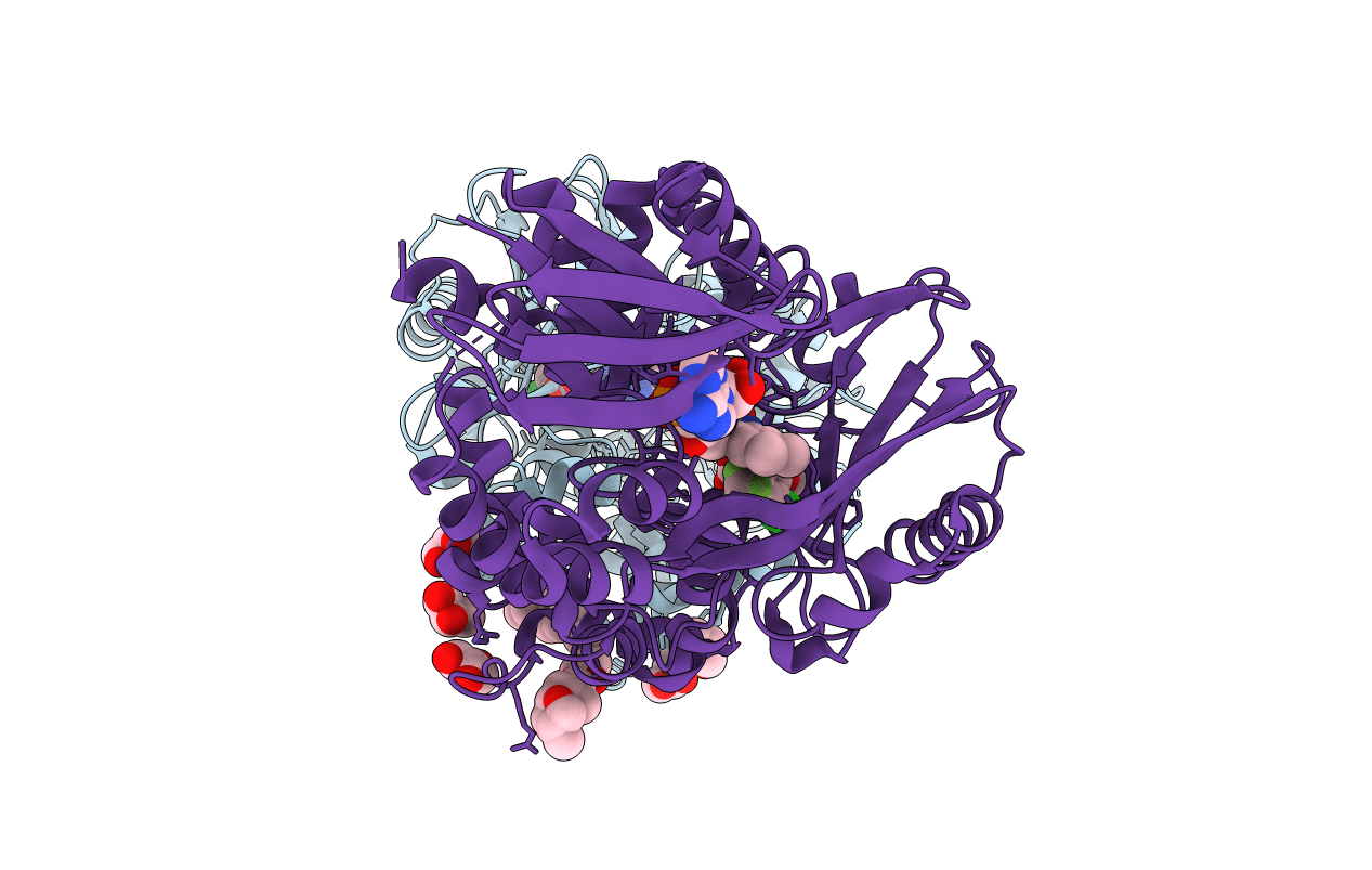 2IVD image