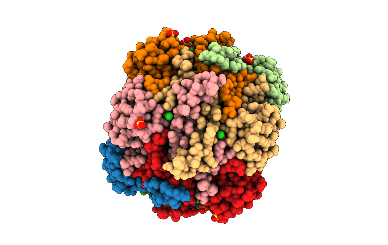2IVG image