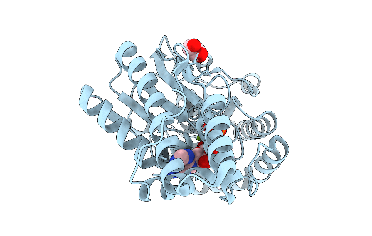 2IVN image