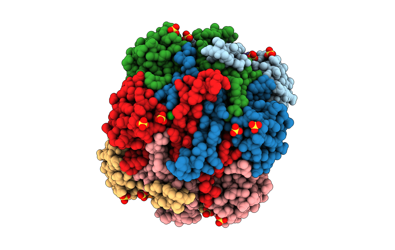 2IVQ image