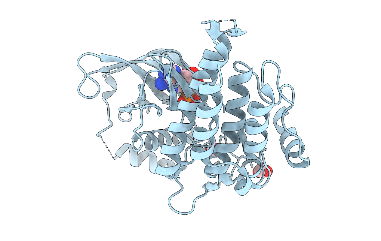 2IVT image