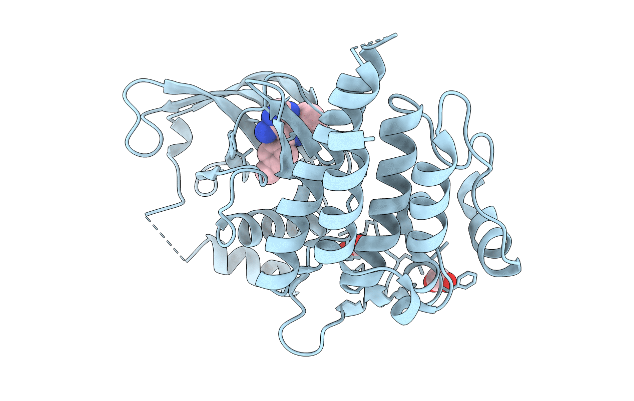 2IVV image