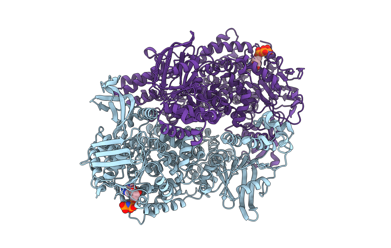 2IWH image