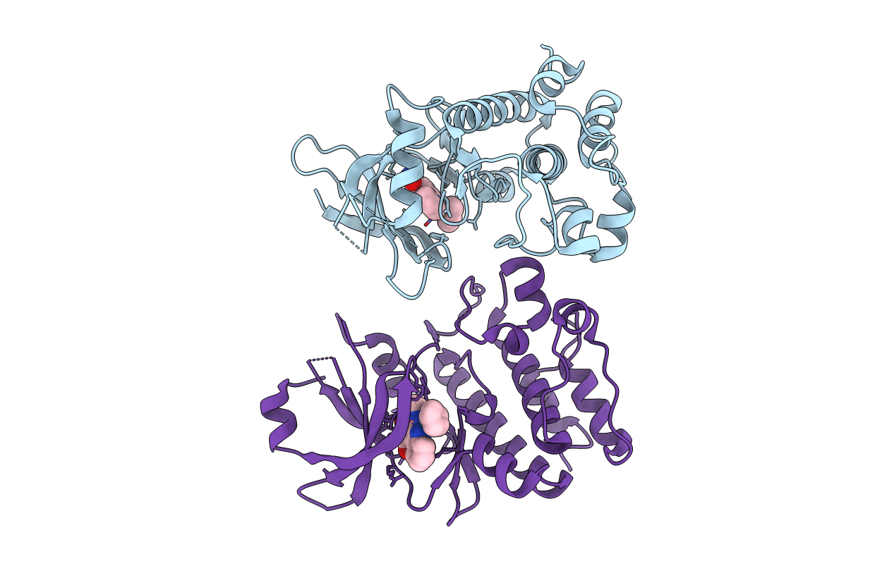 2IWI image