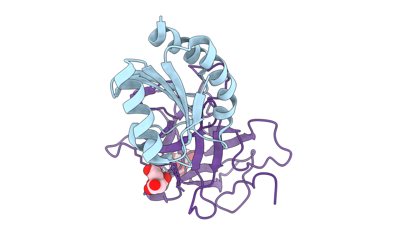 2IWT image