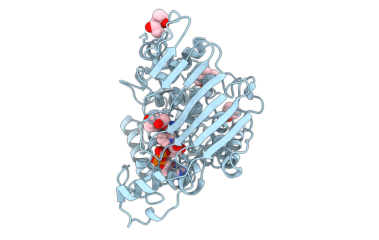 2IXA image