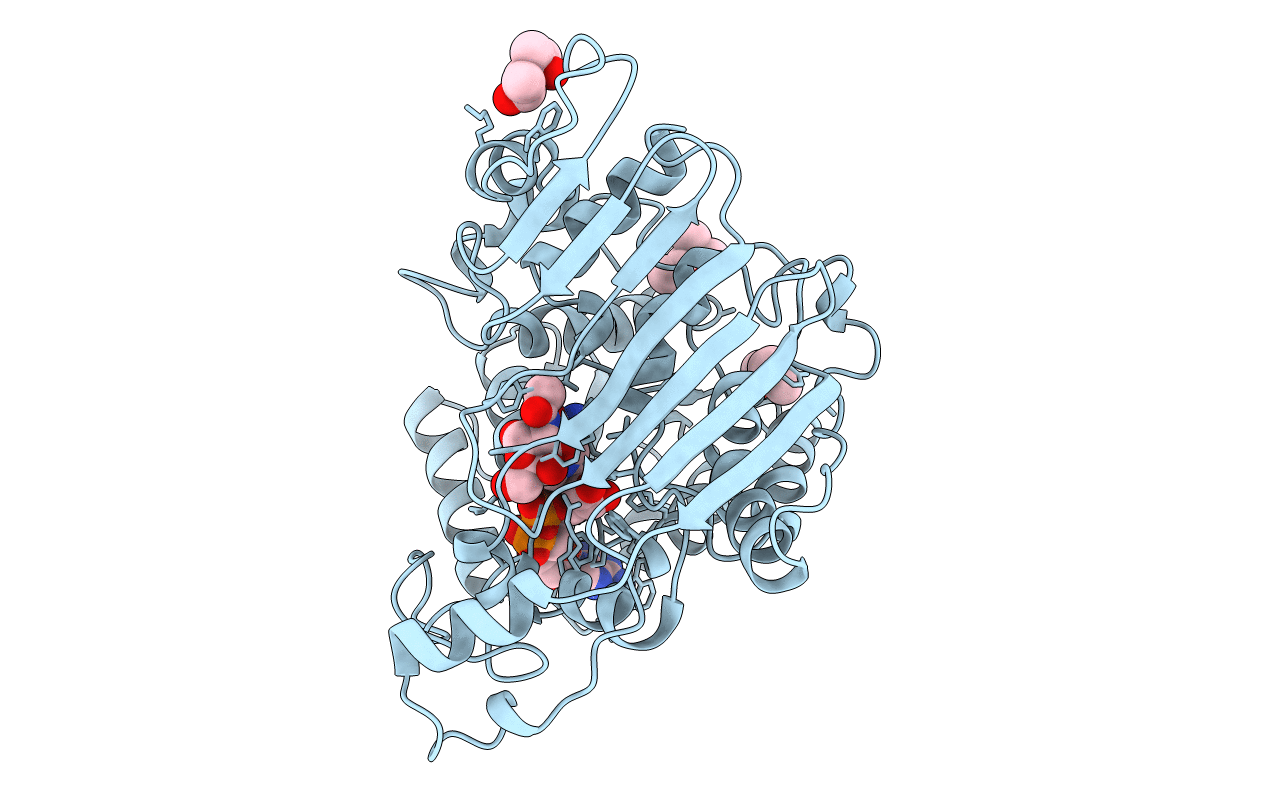 2IXB image