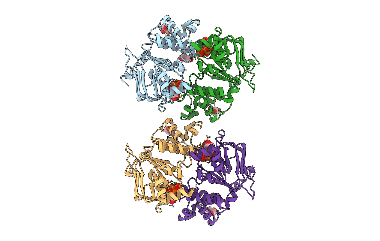 2IXF image