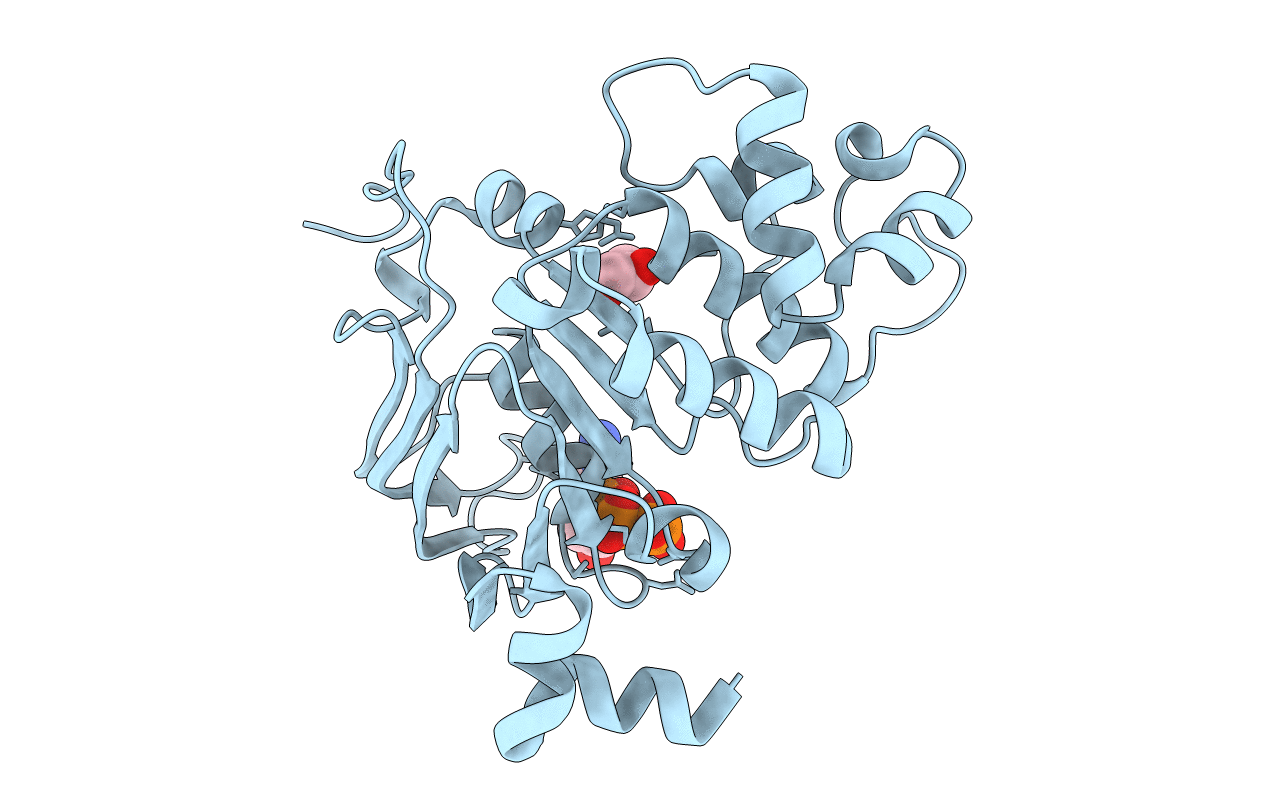 2IXG image