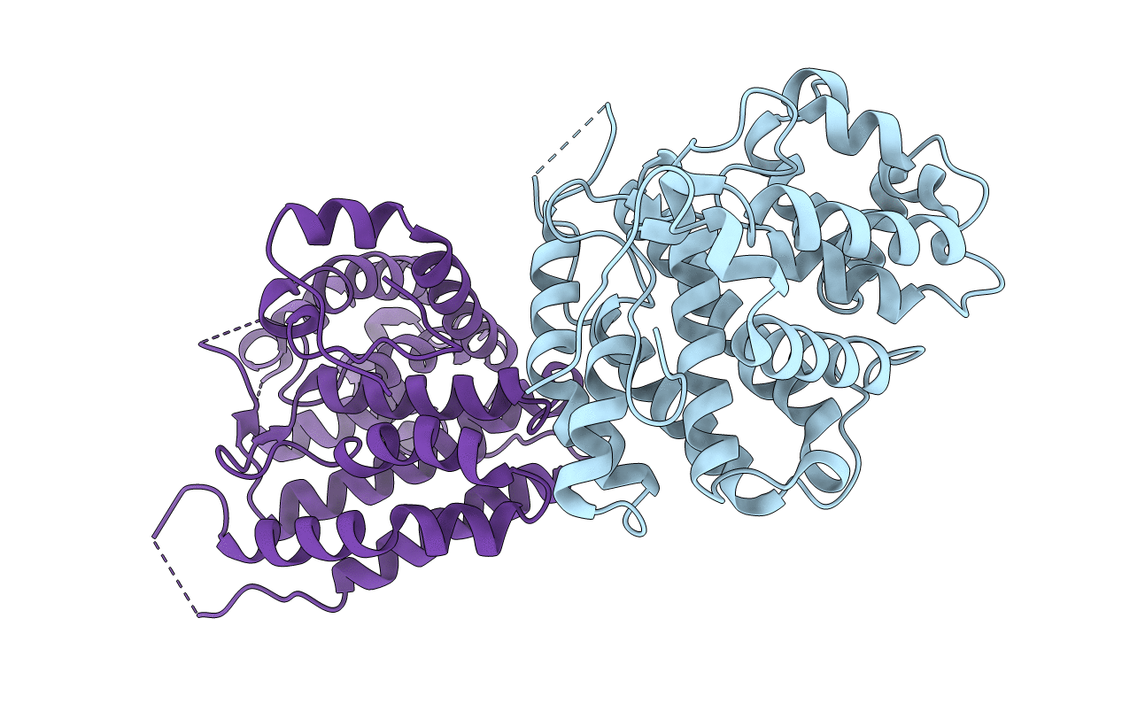 2IXN image