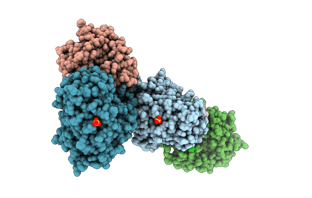 2IXP image