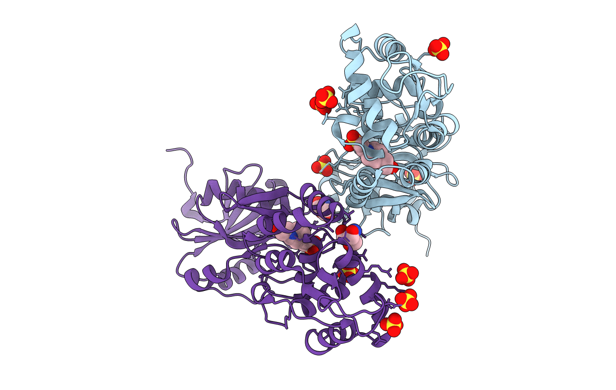 2IXS image