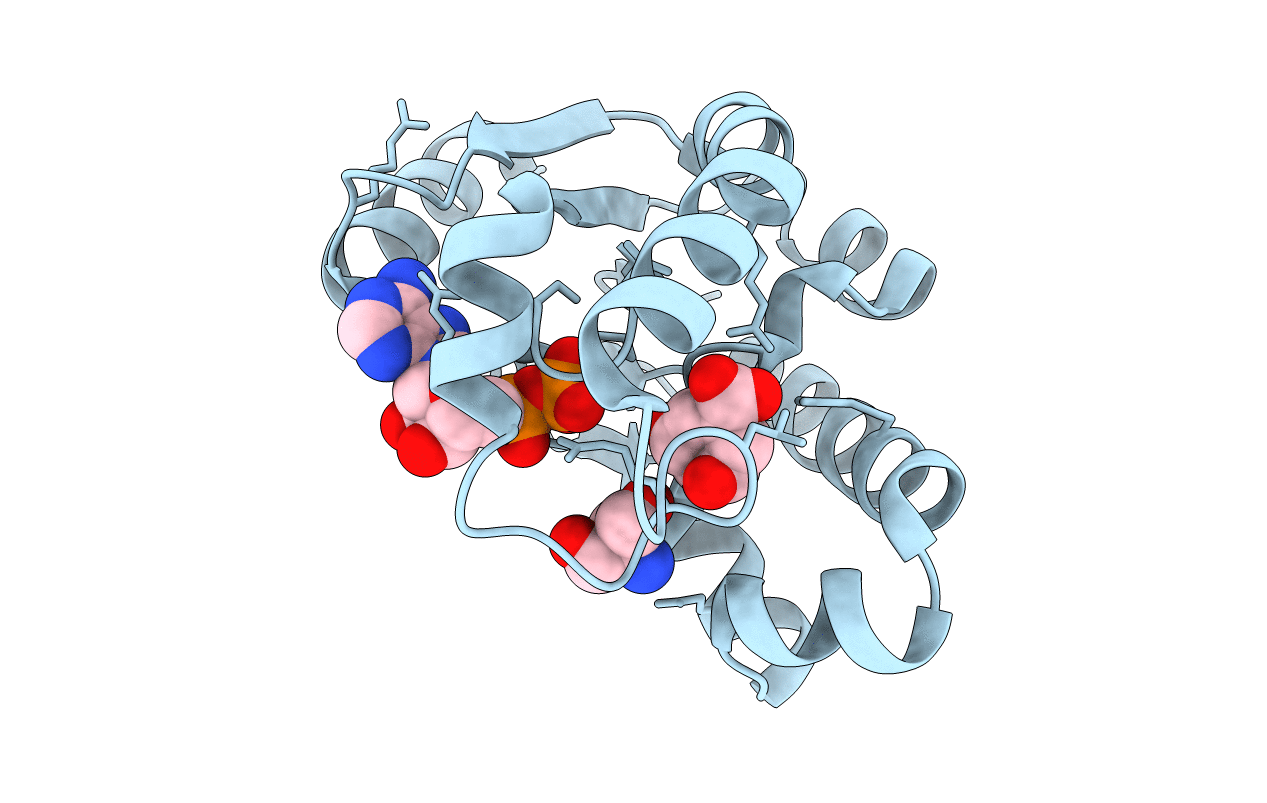 2IYQ image