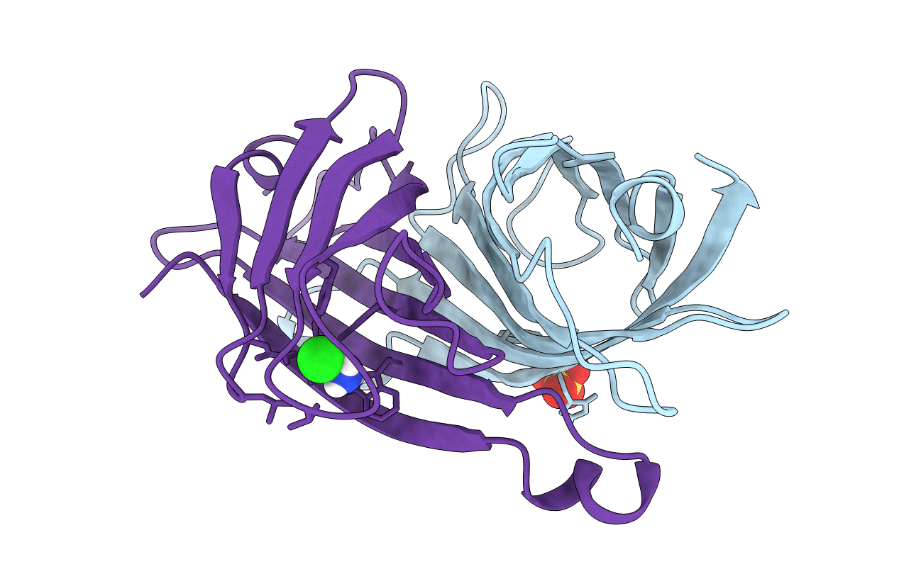 2IZD image