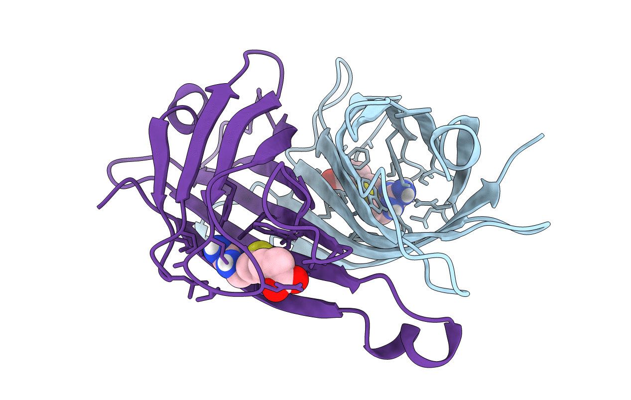 2IZL image