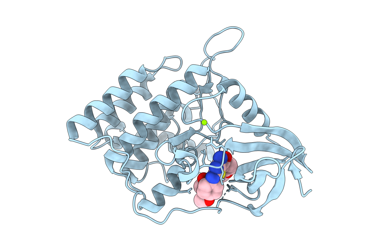 2IZR image