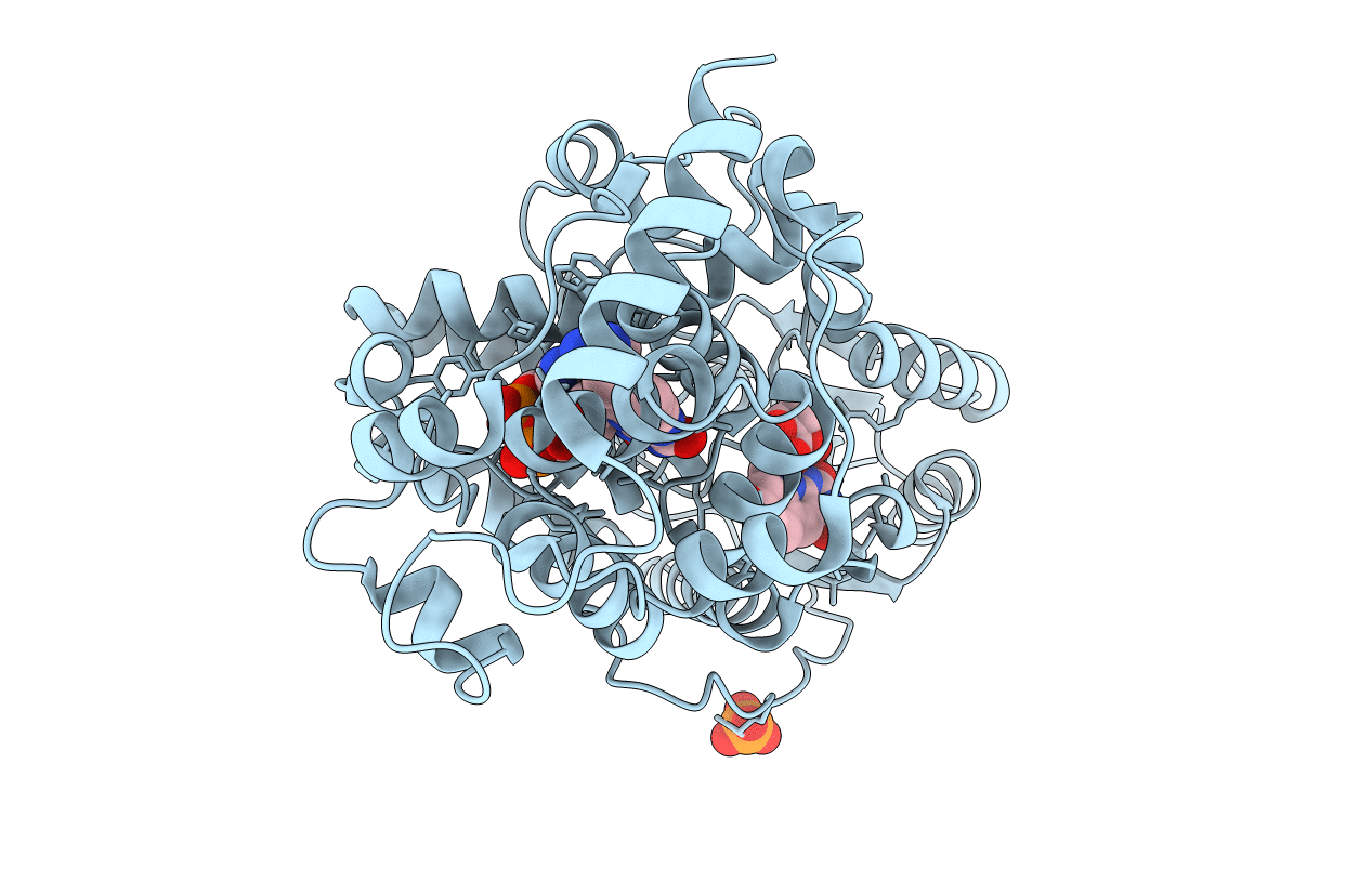 2J07 image