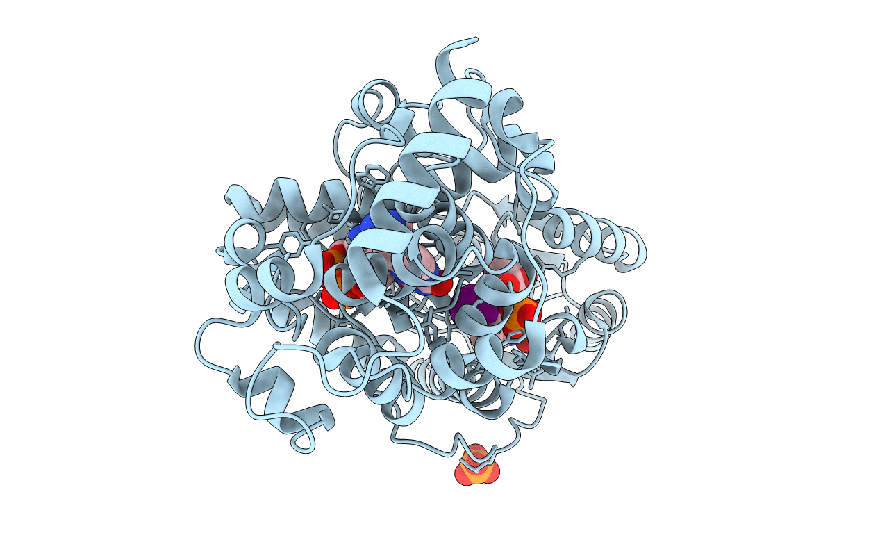 2J08 image
