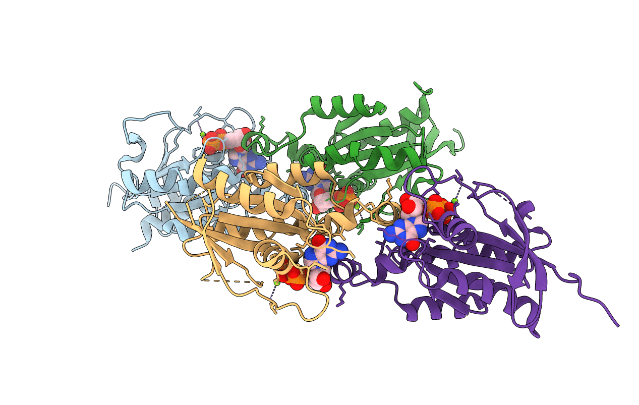 2J0V image