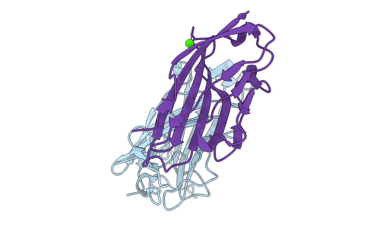 2J12 image