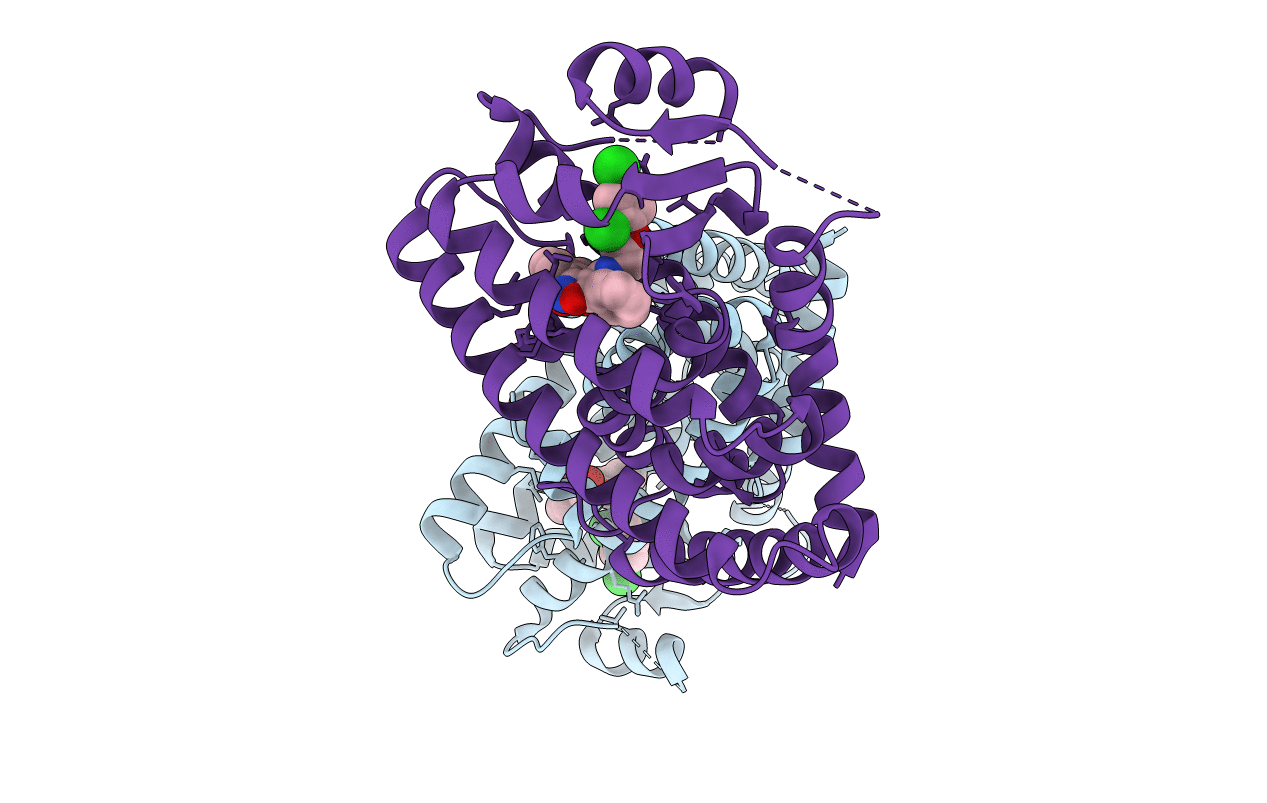 2J14 image
