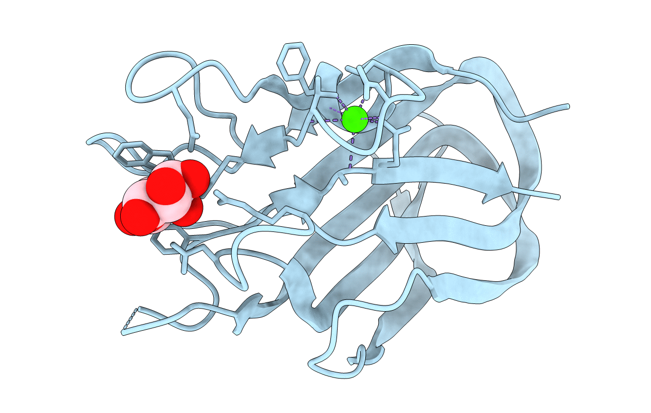 2J1A image