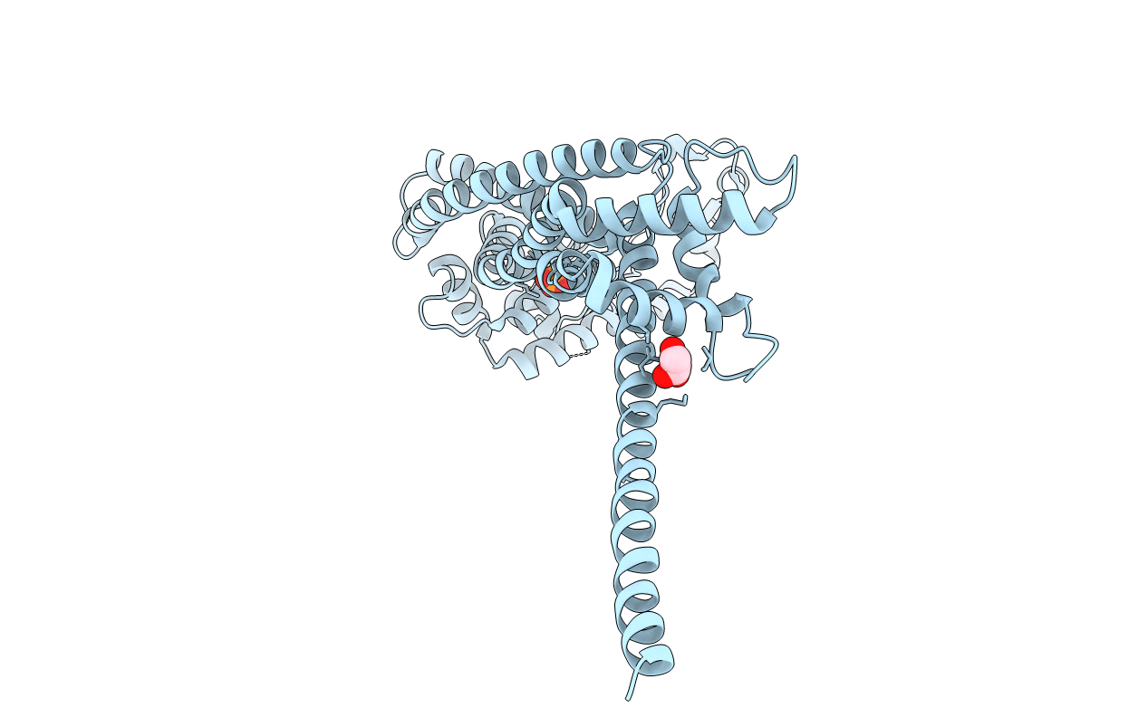 2J1D image