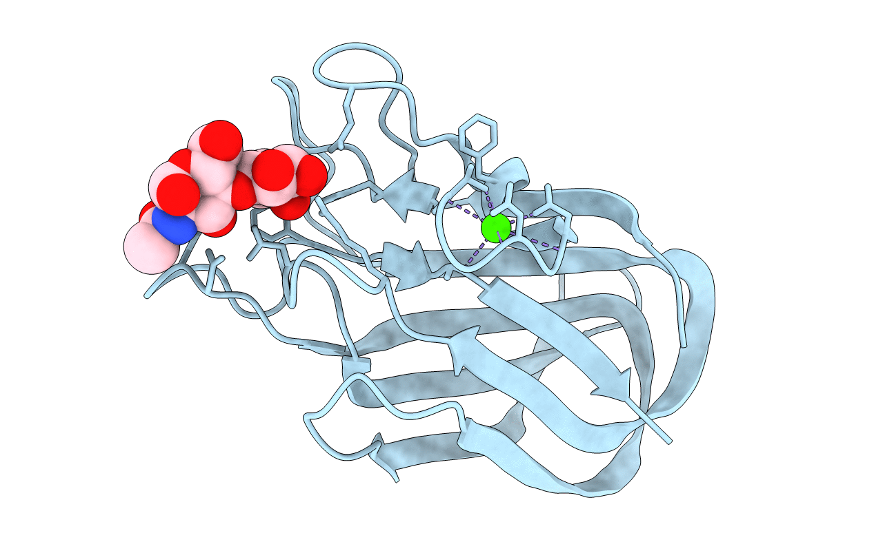 2J1E image