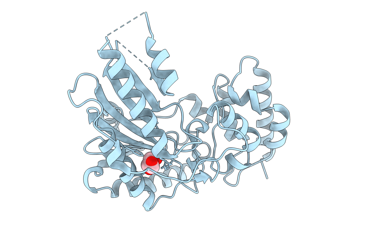 2J1Q image