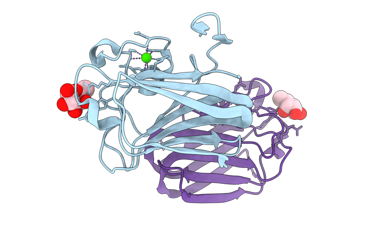 2J1S image