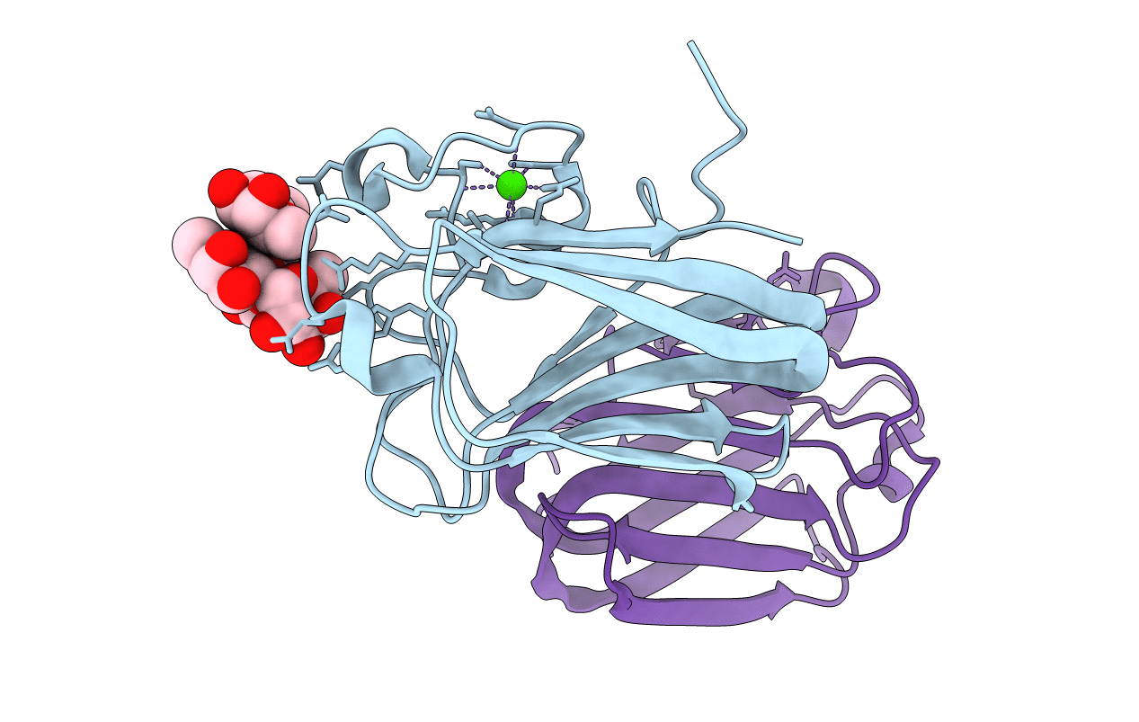 2J1T image