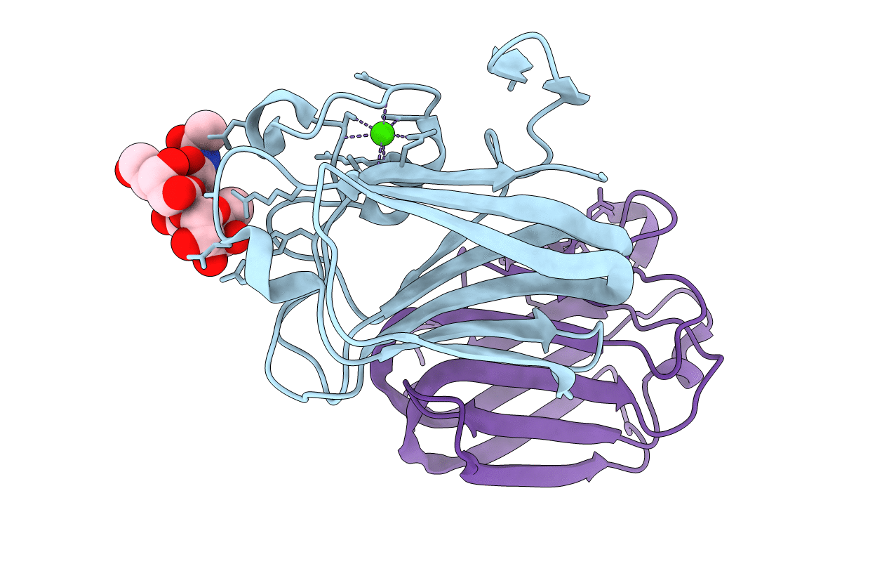 2J1V image