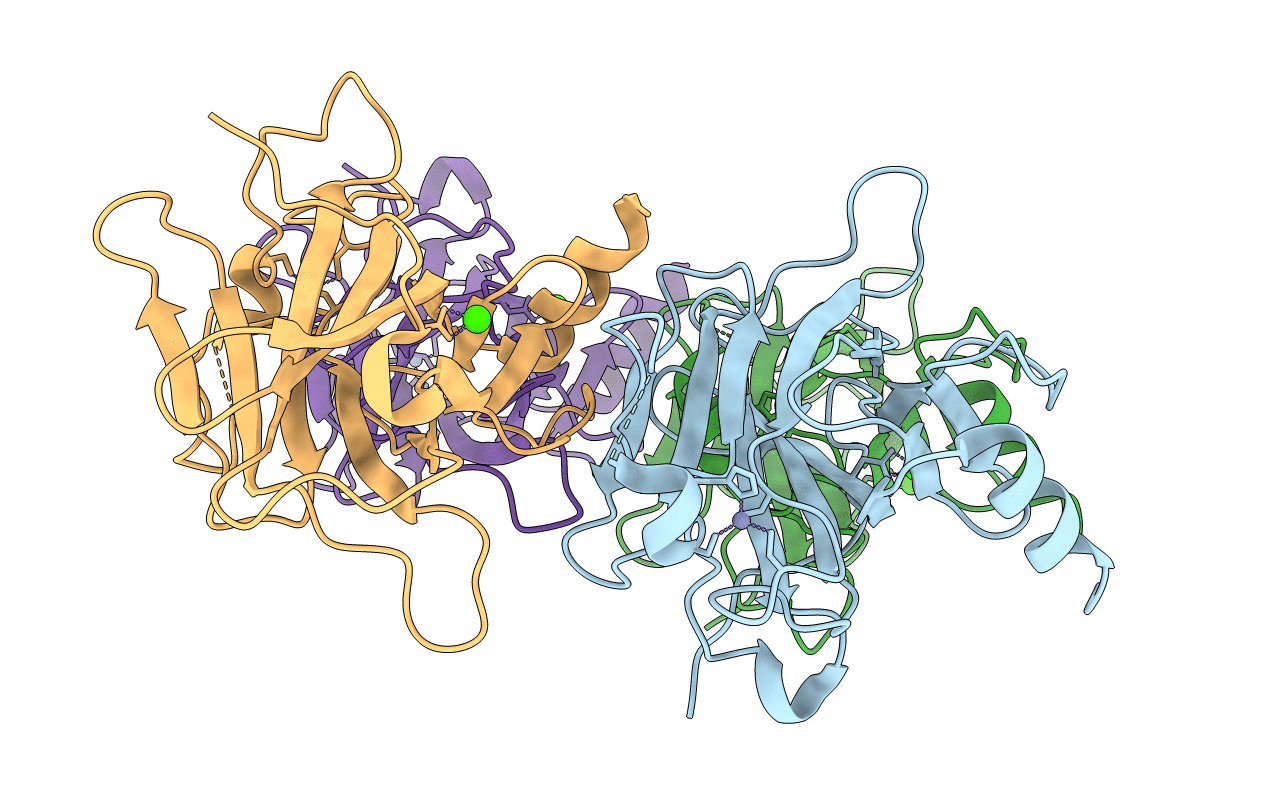 2J1Y image