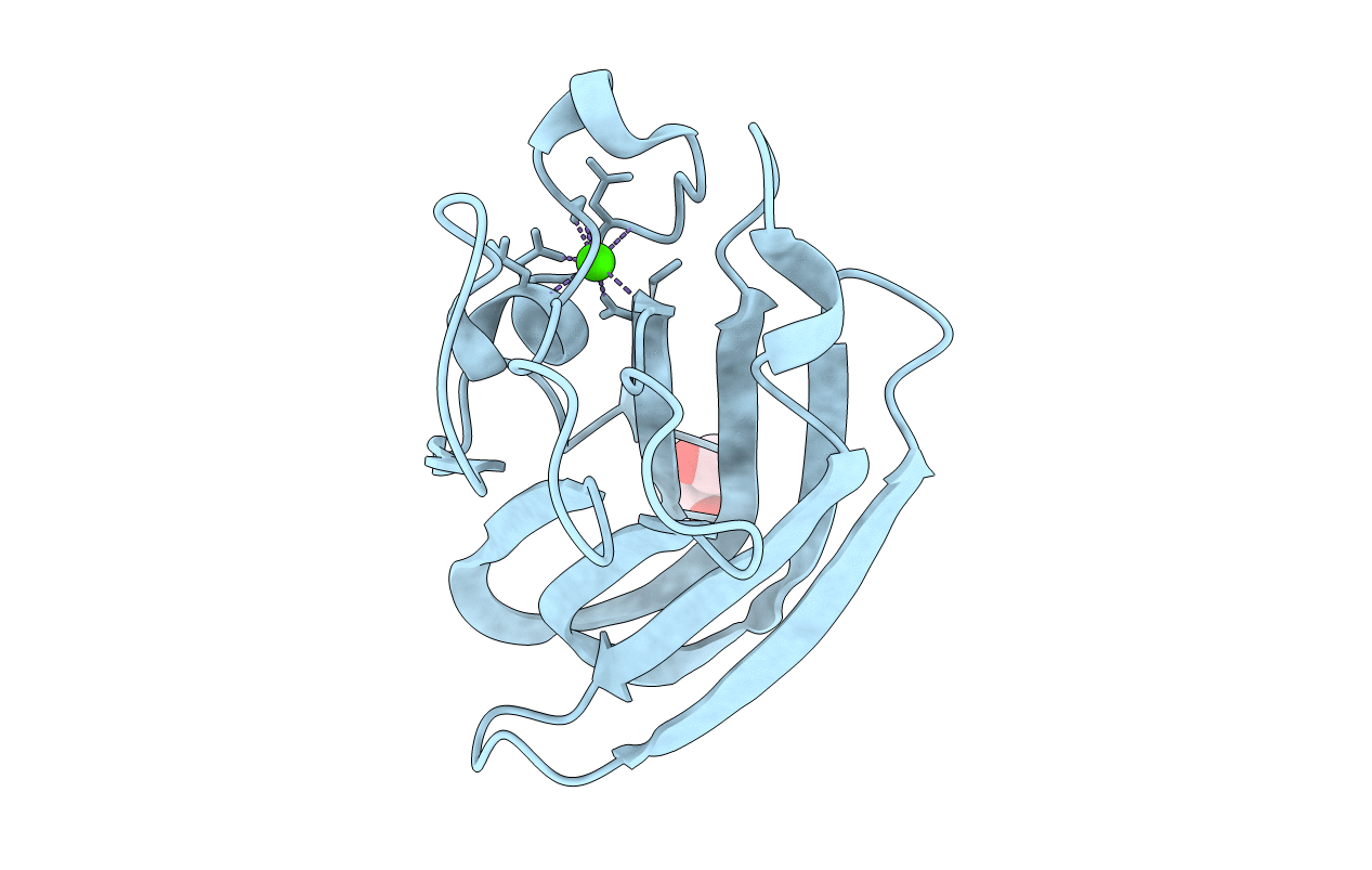 2J22 image