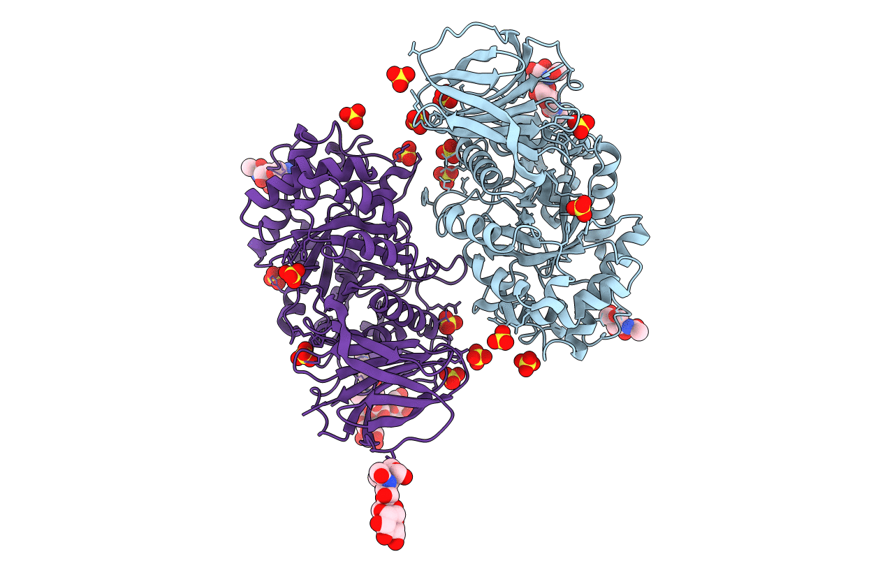 2J25 image