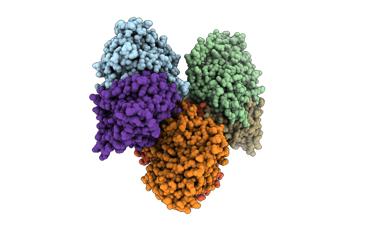2J2F image
