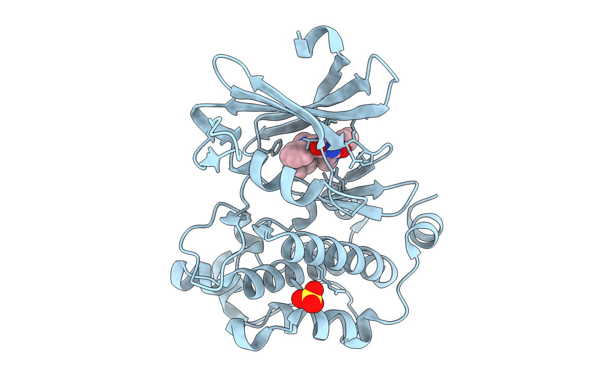 2J2I image
