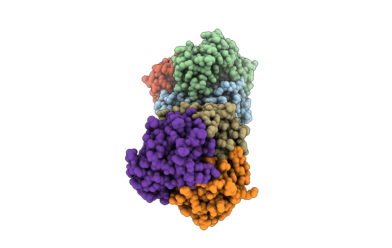 2J2J image