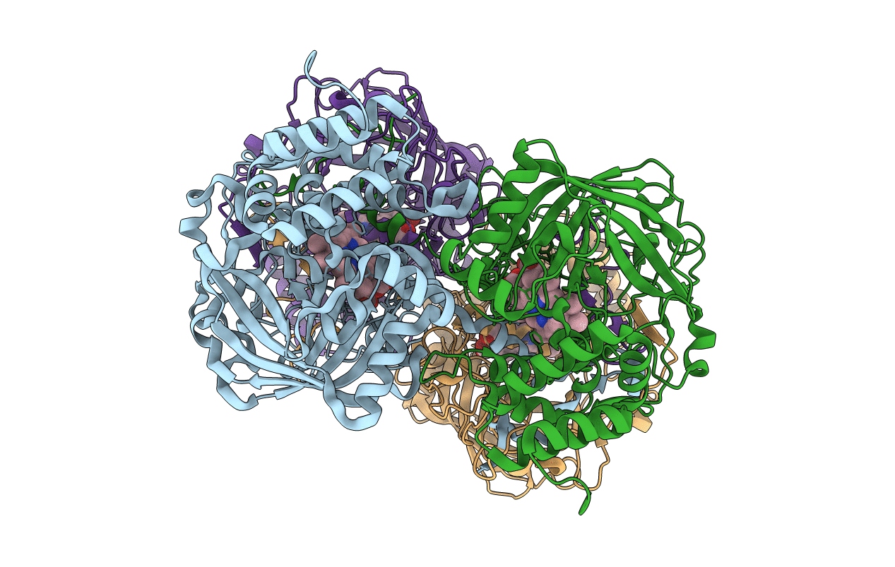2J2M image