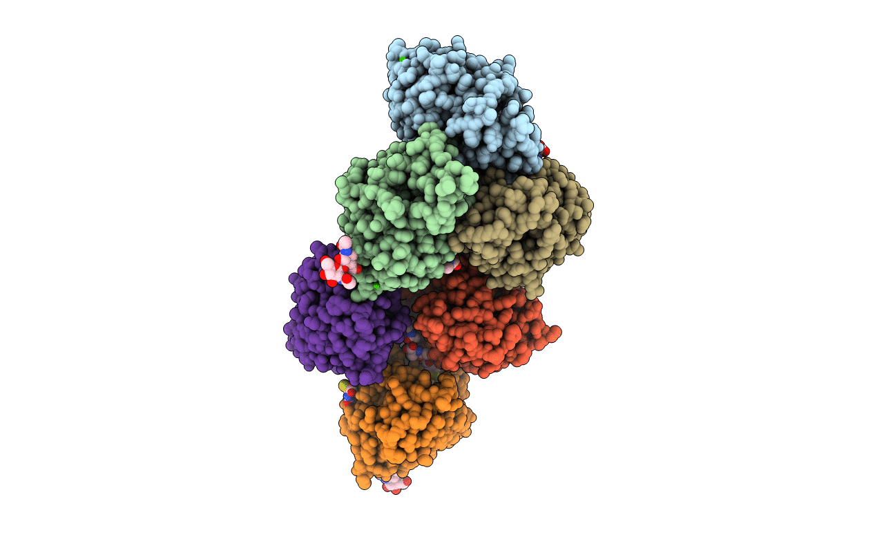 2J2P image