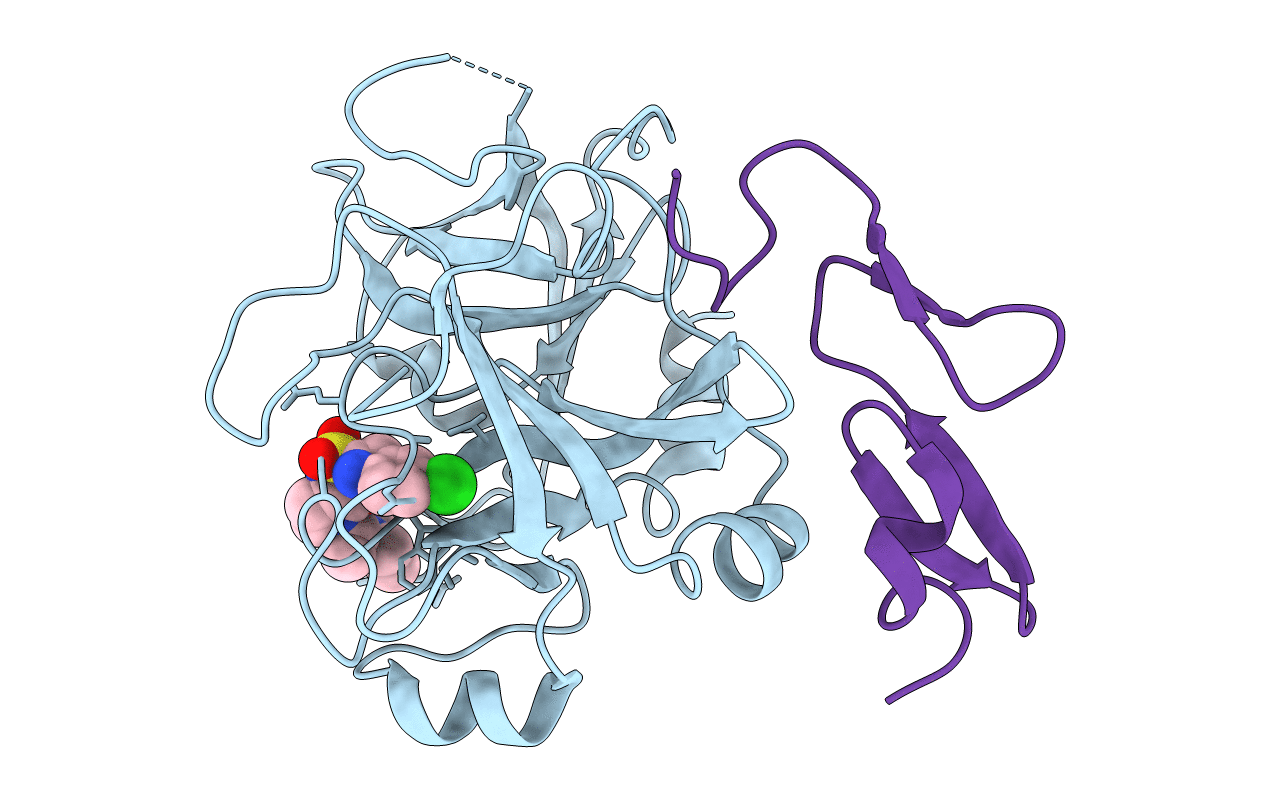 2J2U image