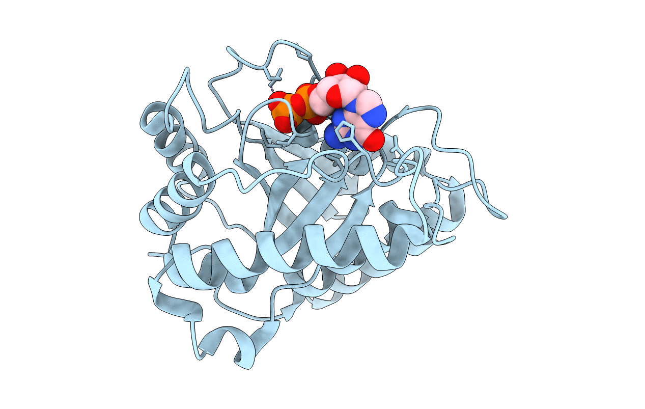 2j3e image