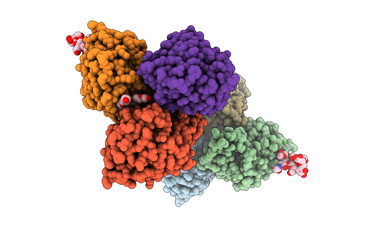 2J3G image