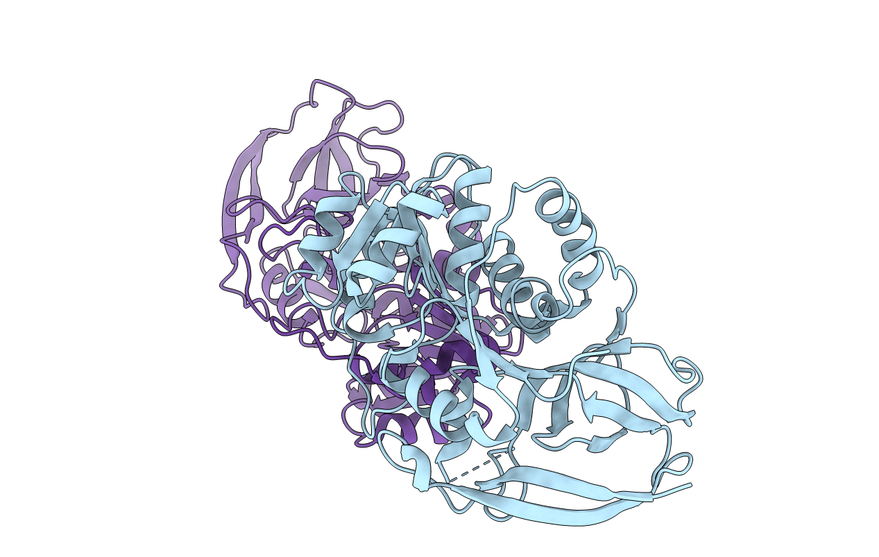 2J3H image